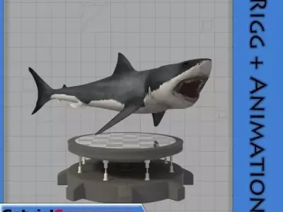 Great White Shark 3D model 8