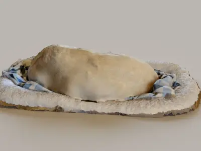 Sleeping dog 3D model