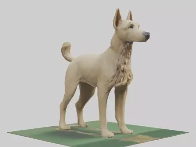 Berger Picard herding model Low-poly 3D model