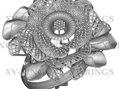 NEW TURKISH RINGS LOT XV-21 TO 30 3D print model