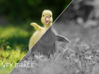 Little Goose Animation VFX Grace 3D model