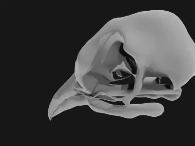 Pigeon skull 3D model
