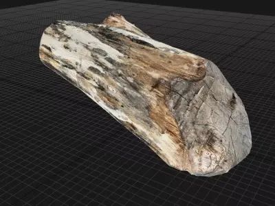 Tree trunk wood 3d scan in highpoly 3D model