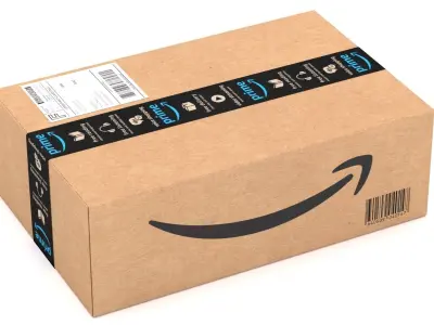 Cardboard Box Amazon 3D model
