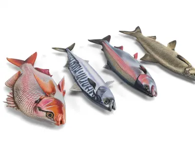 Fish set Low-poly 3D model