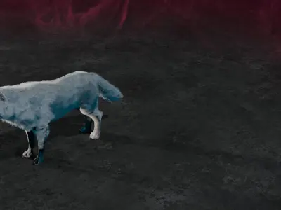 Wolf white 3D model