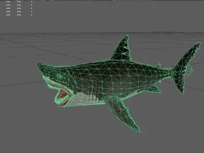 Shark Low-poly 3D model 20