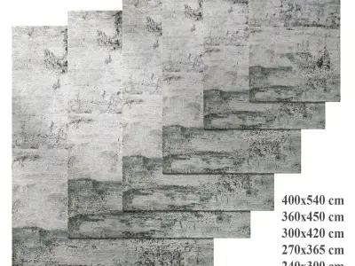 Lyra Silk Rug by The world of RH 3D model