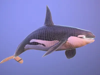 killer whale orca Low-poly 3D model