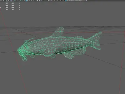 Catfish Low-poly 3D model 2