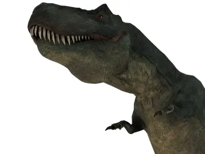 Tyrannosaurus rex Low-poly 3D model 16