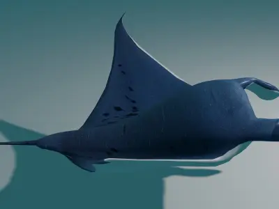 Manta Ray 3D model