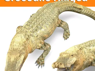 3D Crocodile Rigged Model Low-poly 3D model