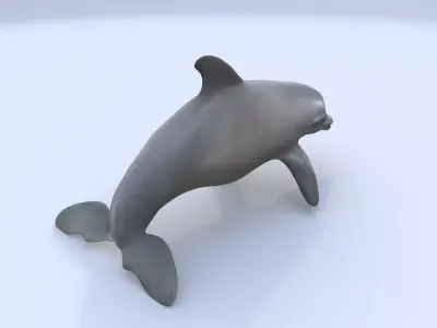 Irrawaddy Dolphin 3D model
