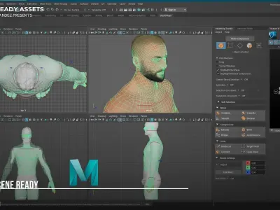 Lifelike Male Base 3D Model Low-poly 3D model