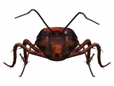 Cockroach Low-poly 3D model purchase