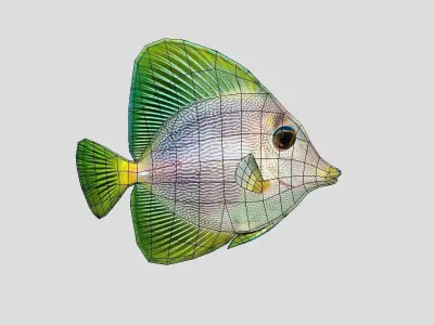 Purple Yellow Tang Realistic Animated Low-poly 3D model