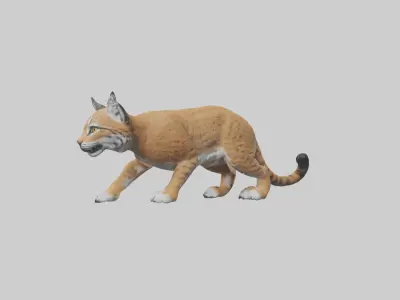 Bobcat hunting model 3D model