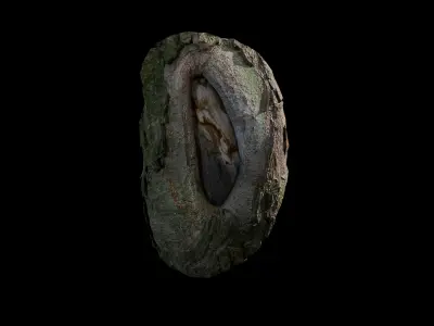 Anydrafts Salix matsudana Burl 04 Low-poly 3D model