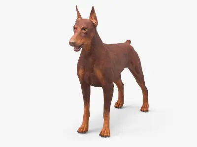 Doberman Dog Brown 3D model