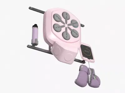 Wall Boxing Trainer Set with Gloves and Water Bottle Pink 3D model