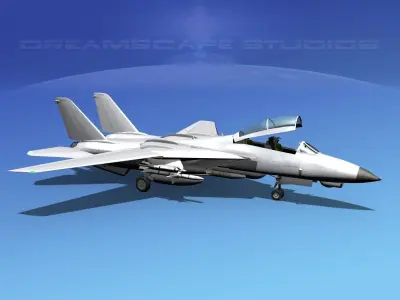Grumman F-14D Tomcat Bare Metal  3D model