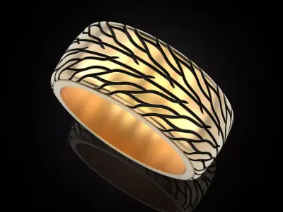 Car tires ring protector version 3 3D print model