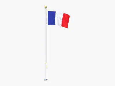 FranceFlagStandPoleAnimated 3D model