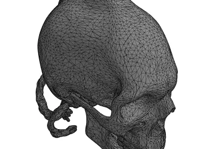 Stylized Elongated Skull with Rope Low-poly 3D model purchase