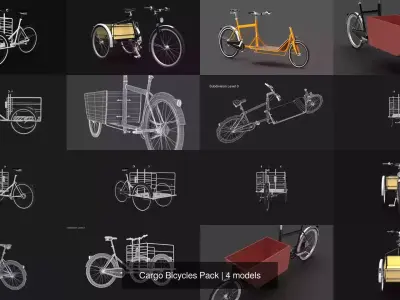 Cargo Bicycles Pack