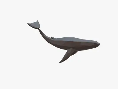Whale low poly Low-poly 3D model