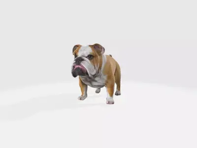 3d Rendering High Resolution Bulldog 3d Modern Trendy Model  3D model