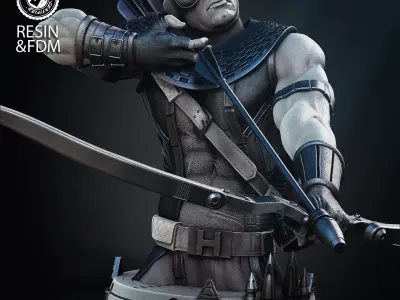 Wicked Marvel Hawkeye Bust Tested for 3D printing 3D print model