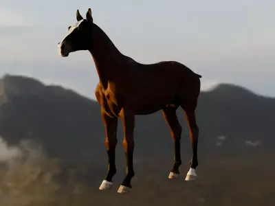 Horse Free low-poly 3D model