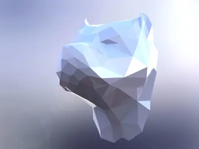 PITBULL FACE 3D model
