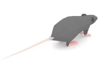 Mouse Cartoon Low Poly Low-poly 3D model