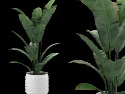 flower pot Low-poly 3D model purchase