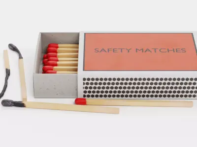 Matchbox with Matches V2 - Unlit and Burned - Custom Design 3D model