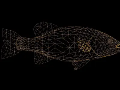 Large Mouth Bass Fish with Swimming Animation Low-poly 3D model
