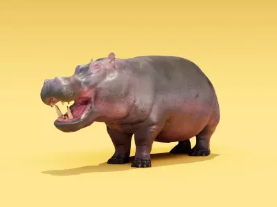 Hippo - Rigged  Low-poly 3D model