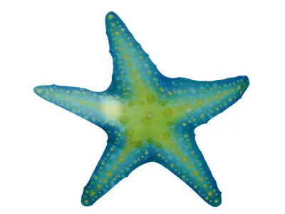 Rigged plane sea star fish Free 3D model
