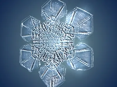Snow flakes 3D model