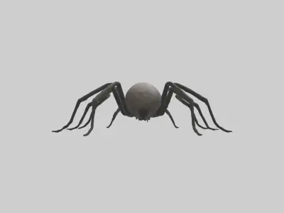 Scary Spider Model Low-poly 3D model