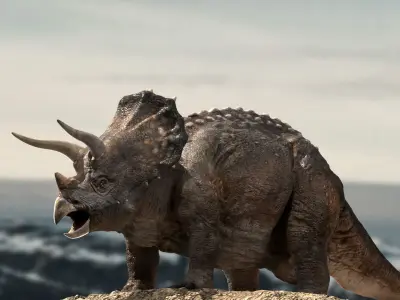 Triceratops Rigged 3D model Low-poly 3D model