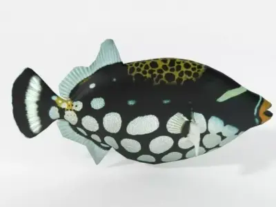 Clown Crossbow Fish Low-poly 3D model