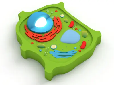 Plant Cell v4 3D model