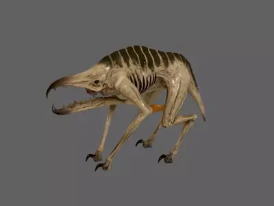 Creature 3D model 47