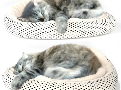 Sleeping Cat 3D model