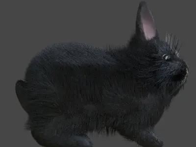 Gray double mane lionhead rabbit Free 3D model