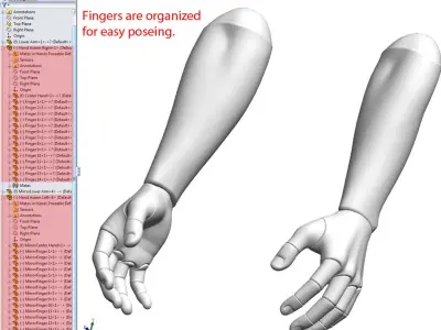 Solidworks Hands Poseable 3D model